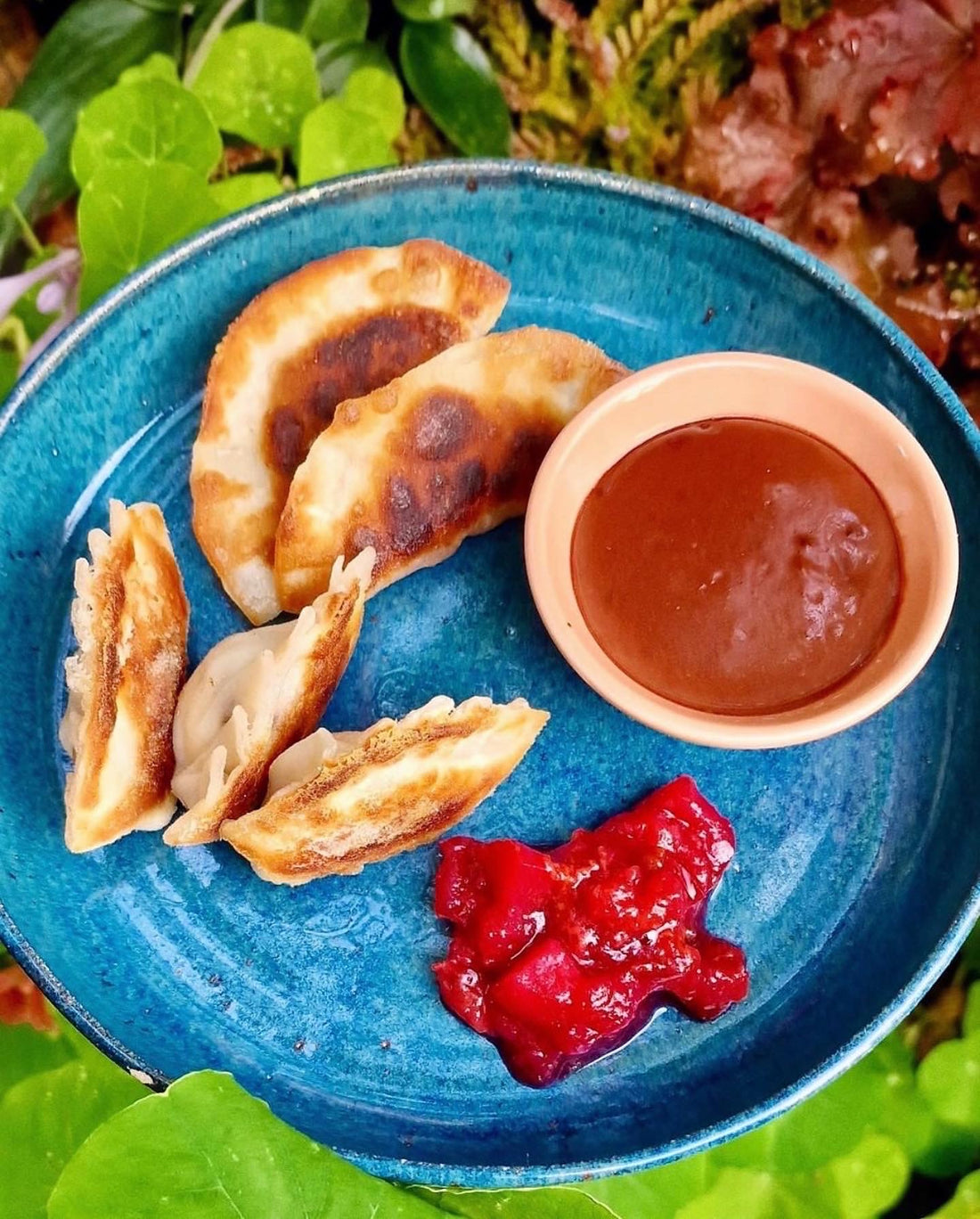 Søde gyoza Hannah Grant